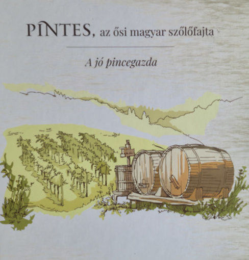 Pintes, az ősi magyar szőlőfajta termékhez kapcsolódó kép