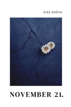 November 21. termékhez kapcsolódó kép