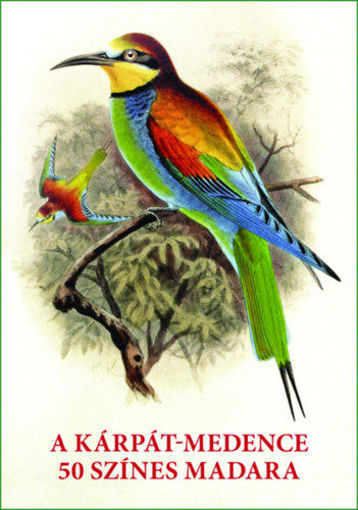 A Kárpát-medence 50 színes madara - Madarak egész oldalas képei és leírásai termékhez kapcsolódó kép