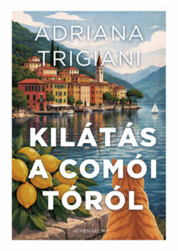 Kilátás a Comói-tóról termékhez kapcsolódó kép