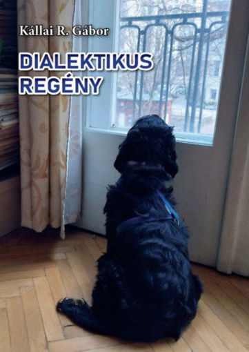 Dialektikus regény termékhez kapcsolódó kép