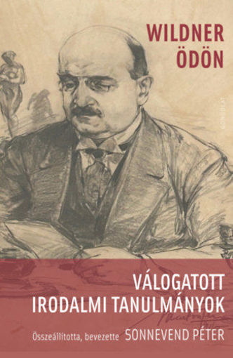 Válogatott irodalmi tanulmányok termékhez kapcsolódó kép