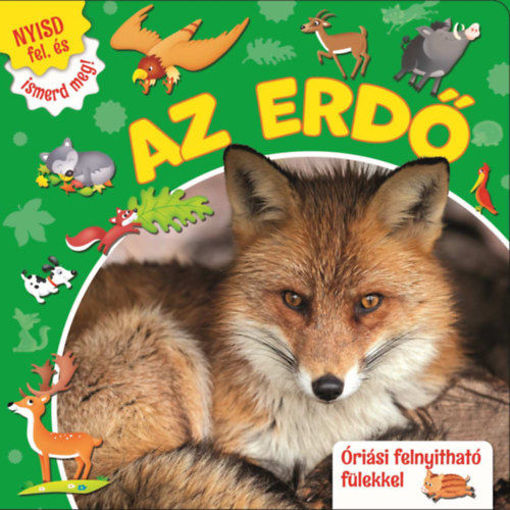 Nyisd fel, és ismerd meg! - Az erdő termékhez kapcsolódó kép