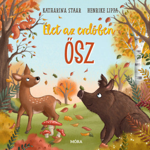 Élet az erdőben - Ősz termékhez kapcsolódó kép