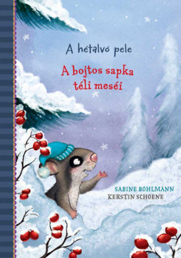 A hétalvó pele - A bojtos sapka téli meséi termékhez kapcsolódó kép