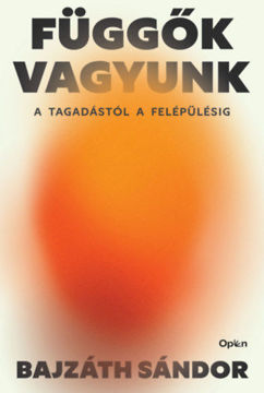Függők vagyunk - A tagadástól a felépülésig termékhez kapcsolódó kép