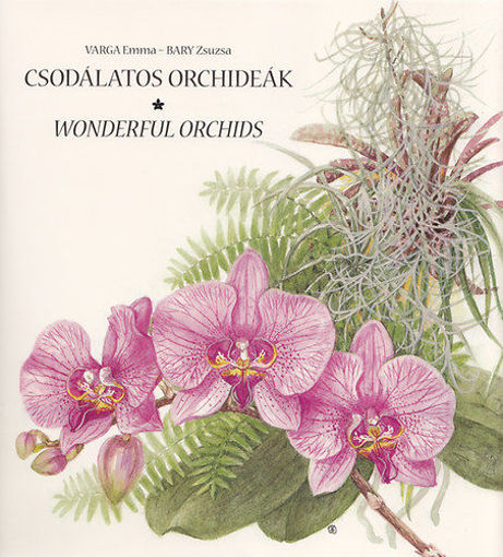 Csodálatos orchideák - Wonderful Orchids termékhez kapcsolódó kép