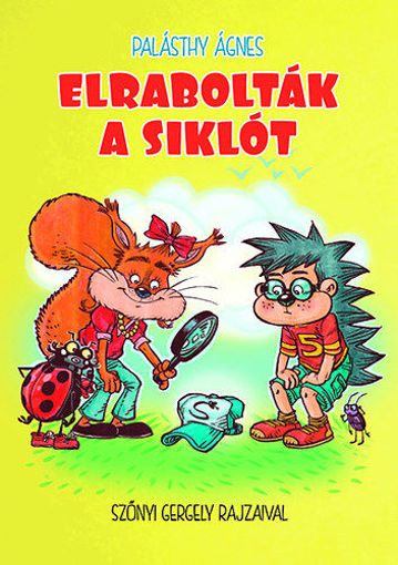 Elrabolták a siklót termékhez kapcsolódó kép