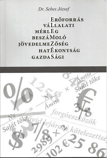 Elemzés - Vállalatielemzés - Mérlegelemzés termékhez kapcsolódó kép