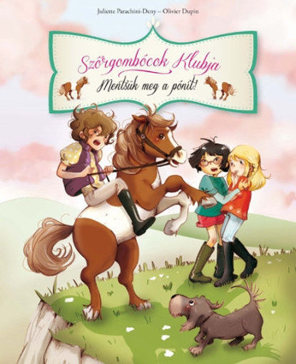 Szőrgombócok Klubja 2. - Mentsük meg a pónit! termékhez kapcsolódó kép