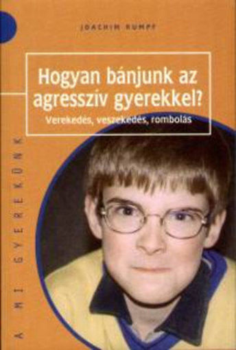 Hogyan bánjunk az agresszív gyerekkel? - Verekedés, veszekedés, rombolás termékhez kapcsolódó kép