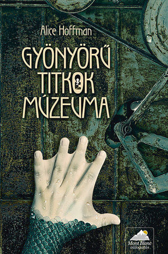 Gyönyörű titkok múzeuma termékhez kapcsolódó kép