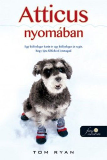 Atticus nyomában termékhez kapcsolódó kép