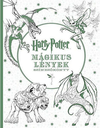 Harry Potter – Mágikus lények termékhez kapcsolódó kép
