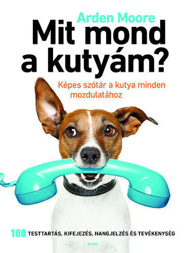Mit mond a kutyám? - Képes szótár a kutya minden mozdulatához termékhez kapcsolódó kép