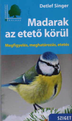 Madarak az etető körül termékhez kapcsolódó kép