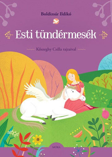 Esti tündérmesék termékhez kapcsolódó kép