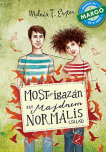 Most már igazán - Egy majdnem normális család 2. termékhez kapcsolódó kép