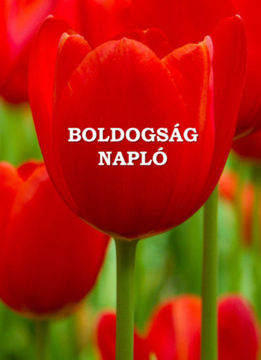 Boldogságnapló - kemény kötés termékhez kapcsolódó kép