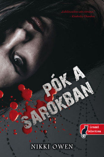 Pók a sarokban termékhez kapcsolódó kép