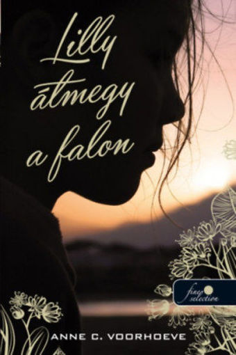 Lilly átmegy a falon termékhez kapcsolódó kép