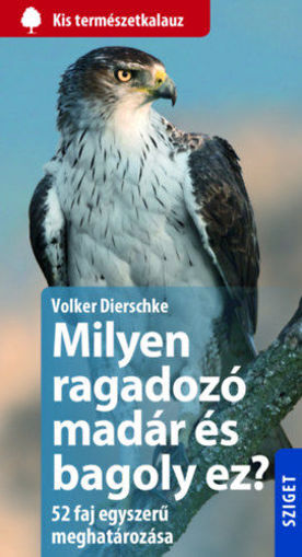 Milyen ragadozó madár és bagoly ez? termékhez kapcsolódó kép