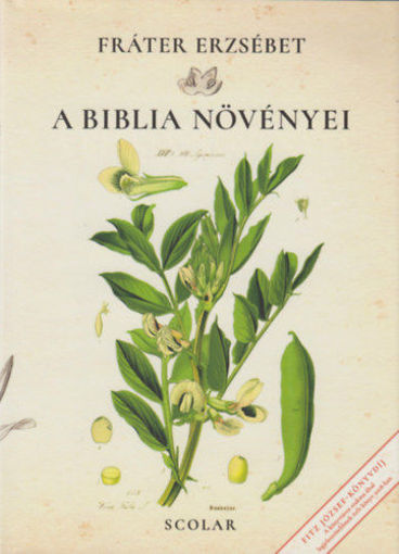 A Biblia növényei termékhez kapcsolódó kép