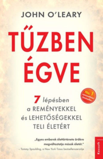 Tűzben égve termékhez kapcsolódó kép