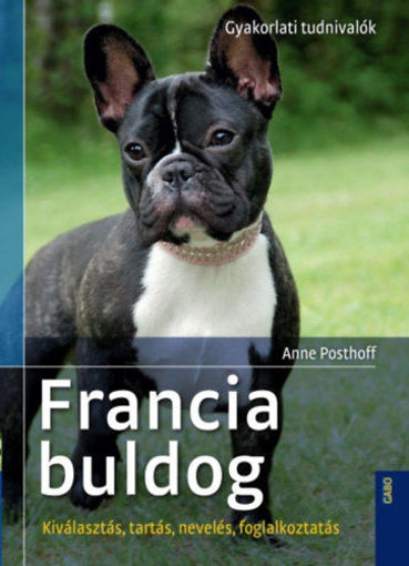 Francia buldog - Kiválasztás, tartás, nevelés, foglalkoztatás termékhez kapcsolódó kép