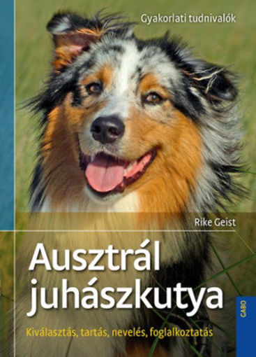 Ausztrál juhászkutya termékhez kapcsolódó kép