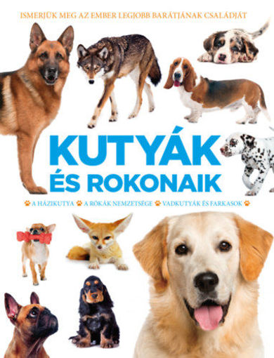 Kutyák és rokonaik - A házikutya, A rókák nemzetsége, Vadkutyák és farkasok termékhez kapcsolódó kép