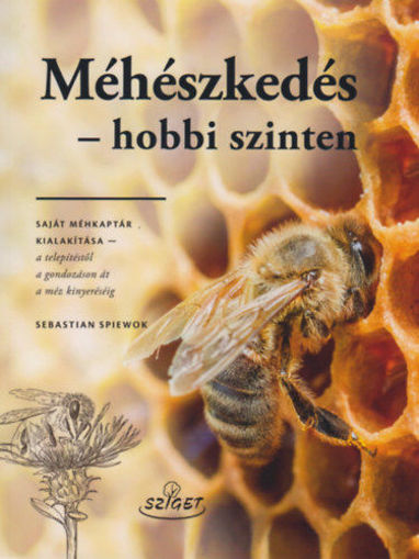 Méhészkedés - hobbi szinten - Saját méhkaptár kialakítása - a telepítsétől a gondozáson át a méz kinyeréséig termékhez kapcsolódó kép