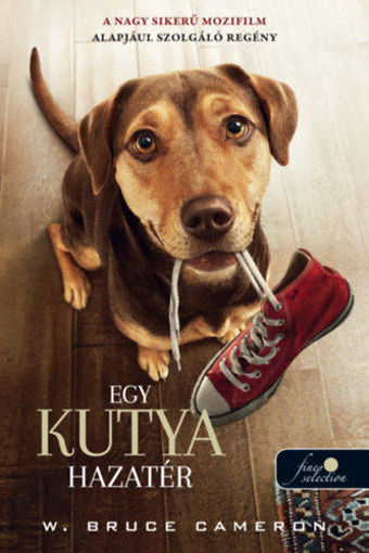 Egy kutya hazatér - filmes borító termékhez kapcsolódó kép