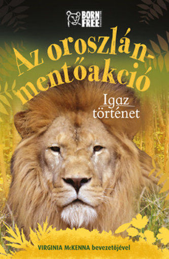 Az oroszlán-mentőakció - Igaz történet termékhez kapcsolódó kép