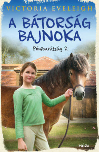 A bátorság bajnoka - Pónibarátság 2. termékhez kapcsolódó kép
