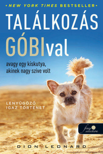 Találkozás Góbival, avagy egy kiskutya, akinek nagy szíve volt termékhez kapcsolódó kép