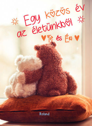 Te és Én - Egy közös év az életünkből (macis borító) termékhez kapcsolódó kép