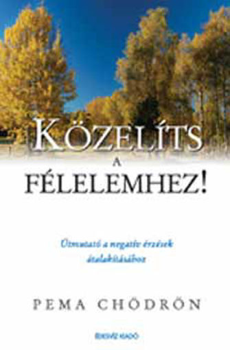 Közelíts a félelemhez! - ÚTMUTATÓ A NEGATÍV ÉRZÉSEK ÁTALAKÍTÁSÁHOZ termékhez kapcsolódó kép