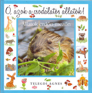 Ó, azok a csodálatos állatok! - Állatok erdő-mezőn termékhez kapcsolódó kép