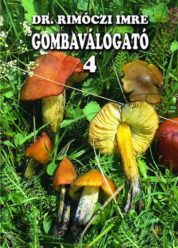 Gombaválogató 4. termékhez kapcsolódó kép