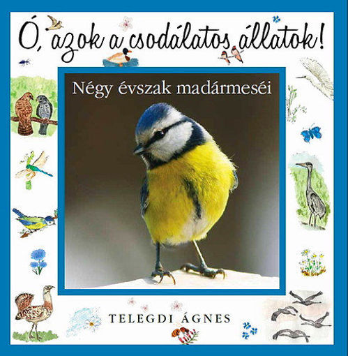 Ó, azok a csodálatos állatok - Négy évszak madármeséi termékhez kapcsolódó kép