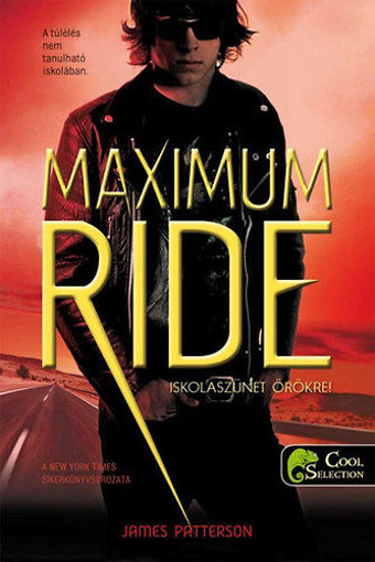 Maximum Ride 2. - Iskolaszünet örökre! termékhez kapcsolódó kép
