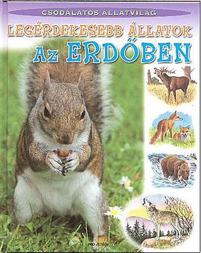 Legérdekesebb állatok az erdőben - Csodálatos állatvilág termékhez kapcsolódó kép