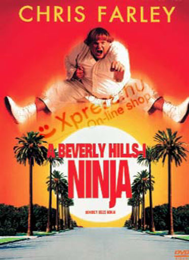 Beverly Hills-i ninja termékhez kapcsolódó kép