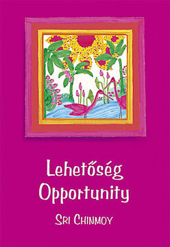 Lehetőség - Opportunity termékhez kapcsolódó kép