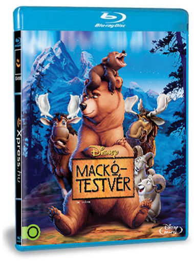 Mackótestvér termékhez kapcsolódó kép