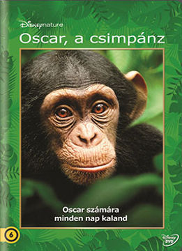 Oscar, a csimpánz termékhez kapcsolódó kép