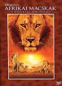 Afrikai macskák - A bátorság birodalma termékhez kapcsolódó kép