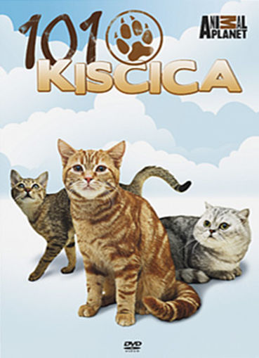 101 kiscica termékhez kapcsolódó kép