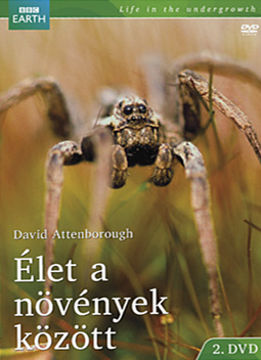 Élet a növények közt 2. termékhez kapcsolódó kép